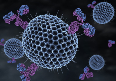 Antibodies to Cytokines