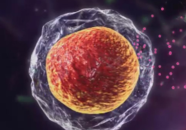 Recombinant Cytokines